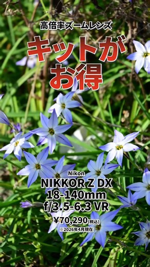 Nikon DX ユーザー必見の万能ズームNIKKOR Z DX 18-140mm f/3.5-6.3 VRをご紹介します！広角から望遠までカバーしつつ315gと超軽量。被写体に寄れてボケも綺麗に作れるため、旅行も日常もこれ1本で完結します。