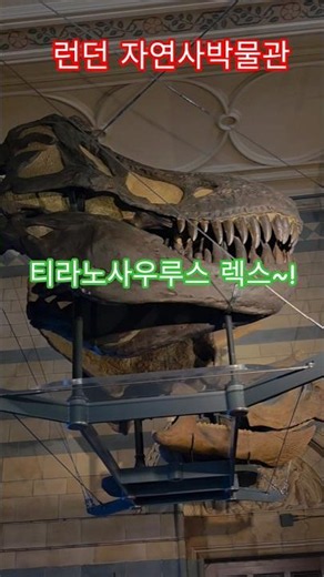 특파원수첩 런던 대형 초식 공룡 트리케라톱스와 쥬라기 공원 시리즈 단골 손님 공룡 티라노사우루스 렉스. 구독과좋아요🌹자연사박물관 관광명소 미리보기