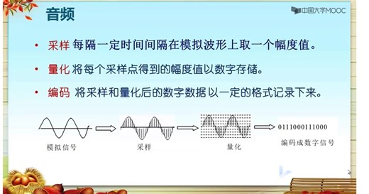 采样、量化、编码过程视频