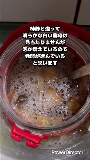 りんご酢作り8日目#自家製#りんご酢