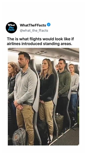 What_The_Facts | This video showcases a conceptual and highly controversial aircraft seating design known as "standing seats" or "saddle seats,"... | Instagram