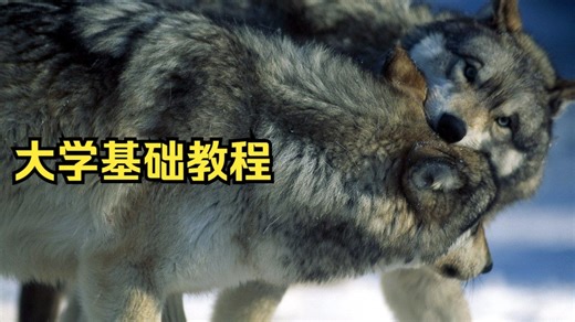 c++ 大学基础教程 pdf c++ 游戏编程教程 dev c+