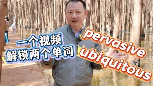pervasive，ubiquitous辨析