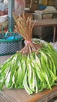 Plenty of petai beans and avocados at Bu Asminah's, Pasrepan Fruit Market, Pasuruan Regency, East...