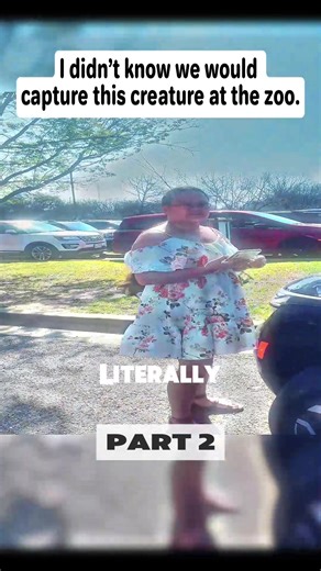 I didn’t know we would capture this creature at the zoo. I didn’t realize my camera stopped working, but the cops arrived and made her leave.#fypppppppppppppppppppppppppppppp