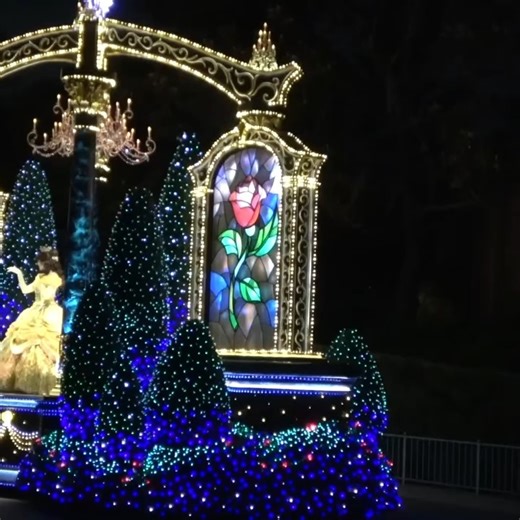 JisooPlum on Instagram: "Tokyo Disneyland Electrical Parade Dreamlights"