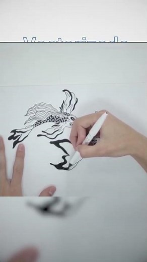 Software para Plotter de corte STM Robotics Design PRO