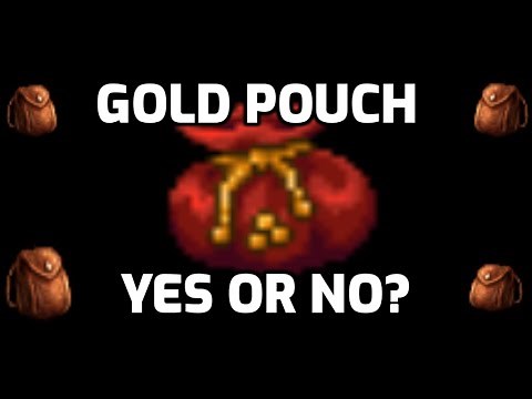 Should You Buy The Gold Pouch?