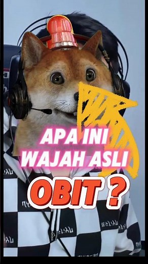 Inilah wajah asli OBIT Si Anjing Lucu