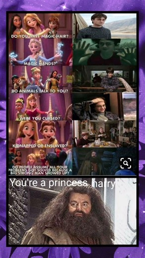 You’re a Princess, Harry 👑✨#shorts #harrypotter #memes #funnymemes