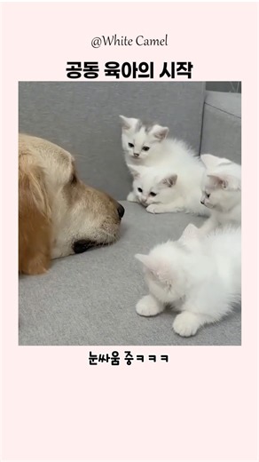 Are you my dad?..