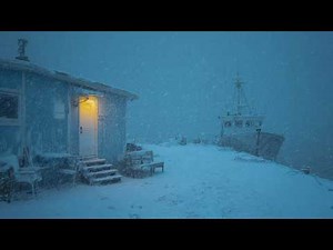 Winter Storm Ambience: Intense Snowstorm & Blowing Wind Sounds for Studying, Focus, and ASMR Sleep