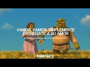 Counting Crows - Accidentally In Love // Sub Español & Lyrics | Shrek 2