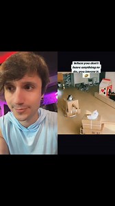 i should probably consider setting up local jousting cats on roomba events. But, for the music events, you can go to http://PrivatePartyTour.com to check out my summer tour dates | David Michael Frank (DMF)