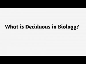 What is Deciduous in Biology ?