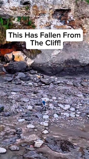 We came across a shale landslide! 🏝️ Amongst it, we found these GOLDEN fossils in loose slabs! 😍 These 180 Million Year Old Jurassic specimens were so exciting to find, we are so pleased with them! 🌅 This particular fossil is an Ammonite Fossil 🏝 This would have looked so cool whilst it was alive! Thanks for supporting our page! 🐊 #fossil #beach #fossilhunting #treasure #fyp #fblifestyle | Yorkshire Fossils