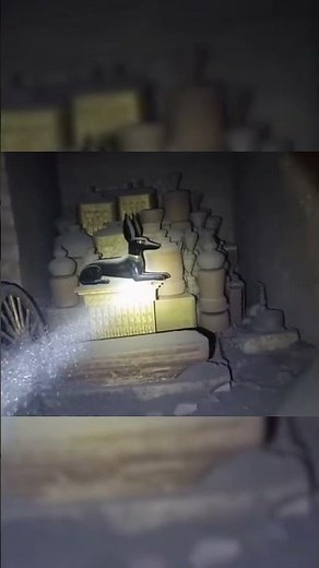 Discovery of the Anubis Shrine and Chariots #ancienthistory #discovery #POV #archaeology #mummy