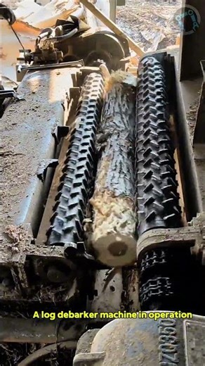 A log debarker machine in operation