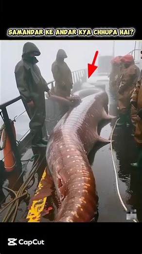 Shocking Creatures Found Underwater 😱 #explore #viral #trending