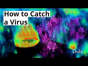 Scientists Use Novel Tech To Capture Video Of Virus Attacking Human Cell [Watch]