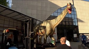 Super-Dino kommt nach Mannheim