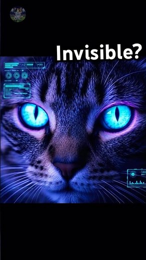 Your Cat Can See What You Can’t 👁️⚡