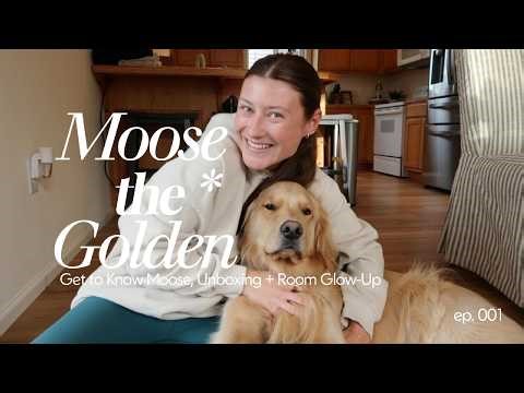 Our First YouTube Video! 🐶 Get to Know Moose, Unboxing + Room Glow-Up