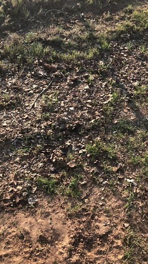 Brad Harris (@bradharris06)’s videos with original sound - Brad Harris