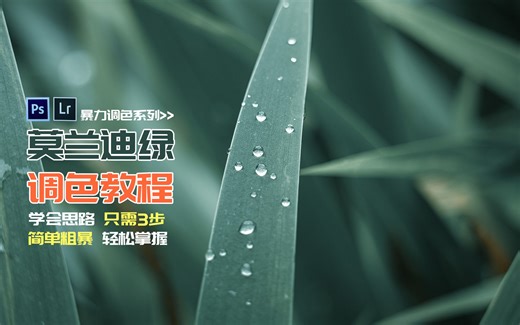 【阿里】3步掌握网红色调--莫兰迪绿--思路与技巧分享