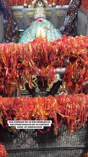 😍Mira Datar dargha Sharif❤️new video #WhatsAppstatus #shorts #reels #sounds 91 9998425249 #qawwali | Saiyed Anis