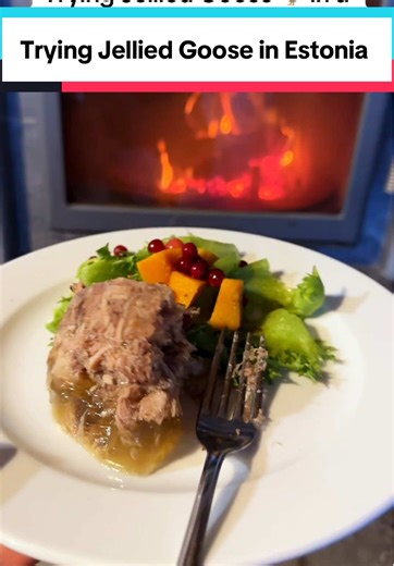 📍 MerMer concept restaurant is in a one woman show in Estonia - what do you think, would you try pickled Estonian Christmas Goose ? #estonia #pickled #pickledgoose #visitestonia #travel #minivlog #Vlog #travelvlog #mermer #uniquerestaurant #conceptrestaurant #restaurantreview #restauranttiktok