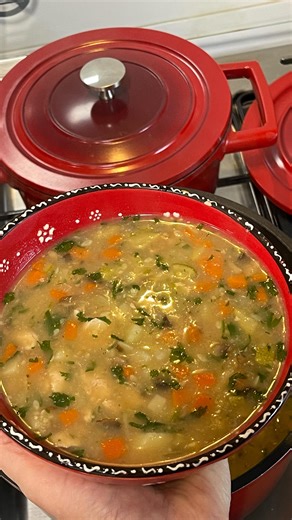 ‎Atheer Abdulwahab 🇦🇪🦋🇮🇶اثير عبد الوهاب‎ on Instagram‎: "⁨ شوربة 🍜 الفيتامينات والمعادن والحديد😎💪🏻😩 مكوناتها متوفرة بكل بيت 🏠🏡 شوربة الشتاء المعتمدة 😅👌🏻🔥 شوربة الخضار والدجاج 😎💪🏻👌🏻 المقادير ؛- قطعة زبدة 🧈 حيواني بصلتين 🧅 مفرومين ناعم جدا 150 غم مكعبات صدر دجاج 🐓 150 غرام مكعبات فطر 🍄 طازج بطاطا 🥔 جزر 🥕 كوسا (شجر ) بهارات خضار ثوم 🧄 بودرة بصل 🧅 بودرة 🧂 ملح فلفل اسود 4 كوب ماء 💦 مغلي ملعقتين شوفان 🥣 بقدونس 🌿 كزبرة 🌿 عصير ليمون 🍋 القريب يتفضل وعافيات على قلوبكم ال