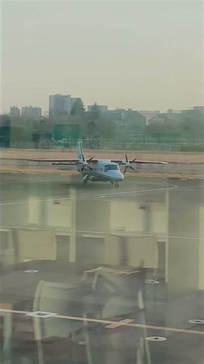 調布飛行場のドルニエ #airplane #airport #dornier #飛行機 #ドルニエ #maintenance #整備 #avion #aviation #aircraft #avión