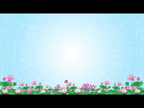 Background Video Trống Đồng Hoa Sen Phông Xanh Miễn Phí & Âm Nhạc Giai Điệu Quê Hương 4K