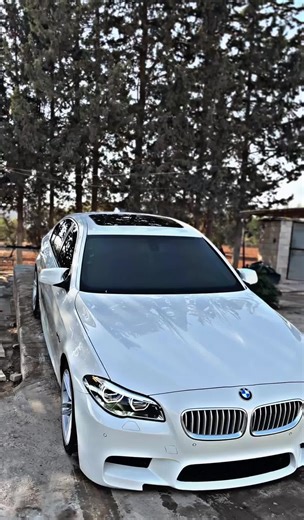 Exploring the BMW F10 520d: Performance and Style