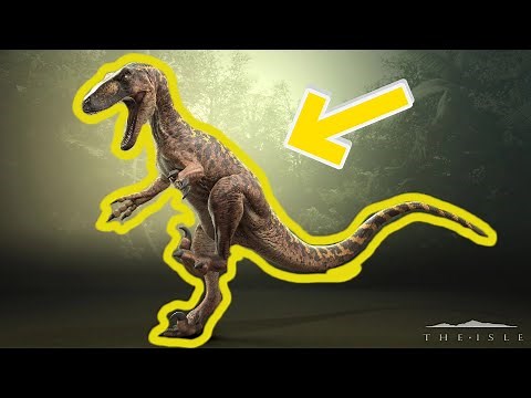 Detailed Omni raptor guide ( The Isle - Gateway )