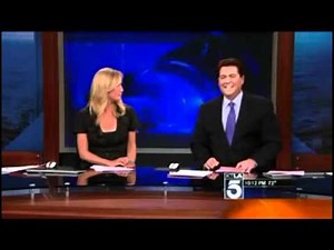 miku hatsune on the news