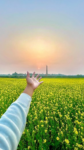 Ankan Basak | Mobile Photographer 📸📱 on Instagram: "❤️🎬 Caption it Shot by @ankan_pixels . Discover your inner filmmaker with Skyvik’s Anamorphic Lens – effortlessly transforming everyday scenes into cinematic wonders, accentuated by the enchanting hues of the perfect blue light. Embrace the magic! Shot by @ankan_pixels Shot On @oppo @oppoindia Reno 11 pro . . . #OPPOTechStudio #OPPOCommunity #OPPOReno11Series #MakeEveryShotStandout #ThePortraitExpert . Lens used: @skyviksigni Anamorphic Lens