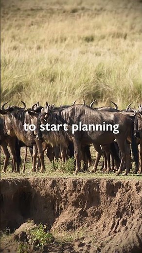 The Greatest Show on Earth | Great Migration | Africa Geographic