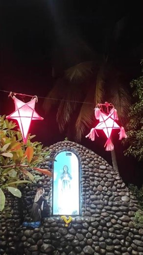 Christmas Vibes in Goa 🌟 India