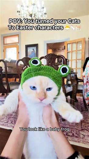 I can’t decide if I like Baby Bing the Froggy or Grandma hat the Gum Gum more🤣 ##pov##cat##catmom##easter