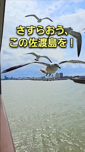 フェリーに乗って佐渡島に行った。#佐渡島#新潟#佐渡#佐渡汽船#旅行