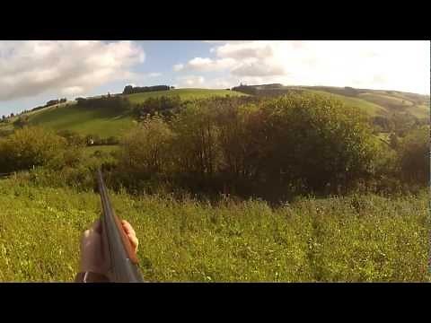 Rabbit & Pheasant Shooting in Wales with Cocker Spaniels Filmed with a GO Pro Hero 2
