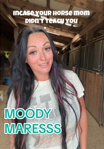 Managing Moody Mares: Tips for Horse Owners