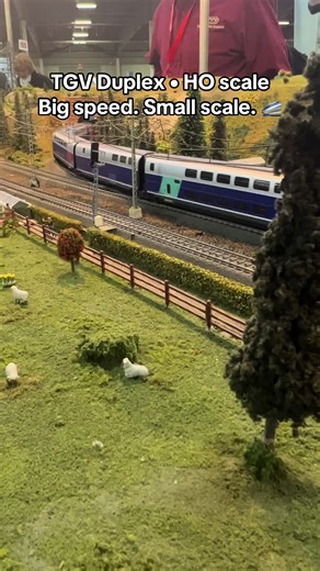 The iconic TGV Duplex… in HO scale 🚄 Speed, detail, and French engineering in miniature. #T#TGVduplexM#ModelTrainCommunityH#HOscaleR#RailwayModelTrainLovers @sncfreseau