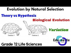 Evolution By Natural Selection - Introduction (2026) Grade 12 Life Sciences