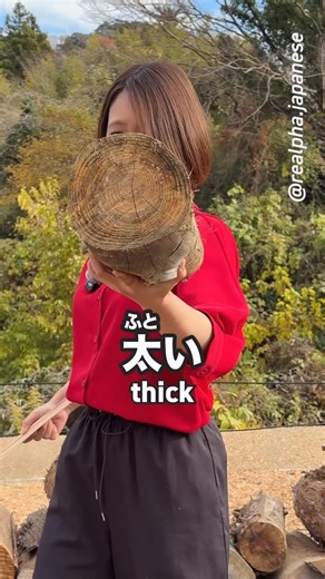 reAlpha Japanese with Hokuto & Haru on Instagram: "English is the same, but the Japanese is different!⁡ ⁡ 🏆⬇︎Sign up and get 7 premium gifts!!⬇︎🏆 ✅ The Complete Natural Japanese Roadmap Video ✅ Essential 3800 Words for Daily Conversation ✅ 360 Speak Like a Native ✅ 800 Casual & Formal Expressions ✅ 121 Real Conversational Responses ✅ 200 Essential Travel Phrases in Japan ✅ Hiragana & Katakana Mastery ◆━━━━━━━━━━━━━━━━━━━━◆ 🏆 Premium gifts now available for free 🏆 ⬇︎ reAlpha Japanese Official