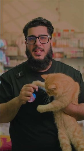 Attention Cat Parents! Keep your cat active and entertained with our Smart Interactive Ball. #cattoy