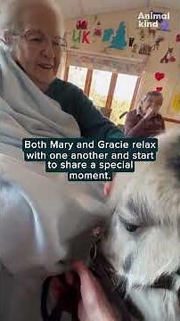 See the magic of a therapy pony and her kind handler for nervous woman