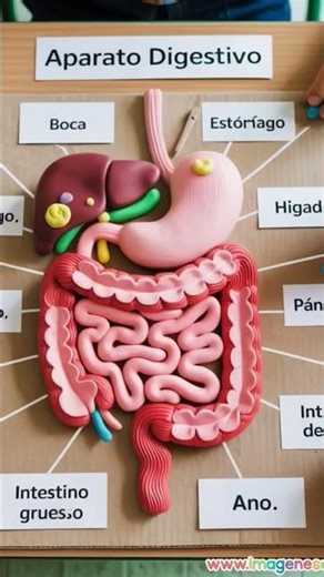 New and amazing science chart decoration ideas #school #decorationideas